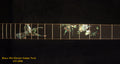 Handcrafted Electric Guitar Replacement TELE Neck, Solid Macassar Ebony, HummingBird Floral Abalone Inlay, Bruce Wei GN-2096