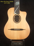 Handmade Tenor Ukulele, Solid Indian Rosewood Gypsy, MOP Inlay, Soft-bag, Bruce Wei GY17-2094