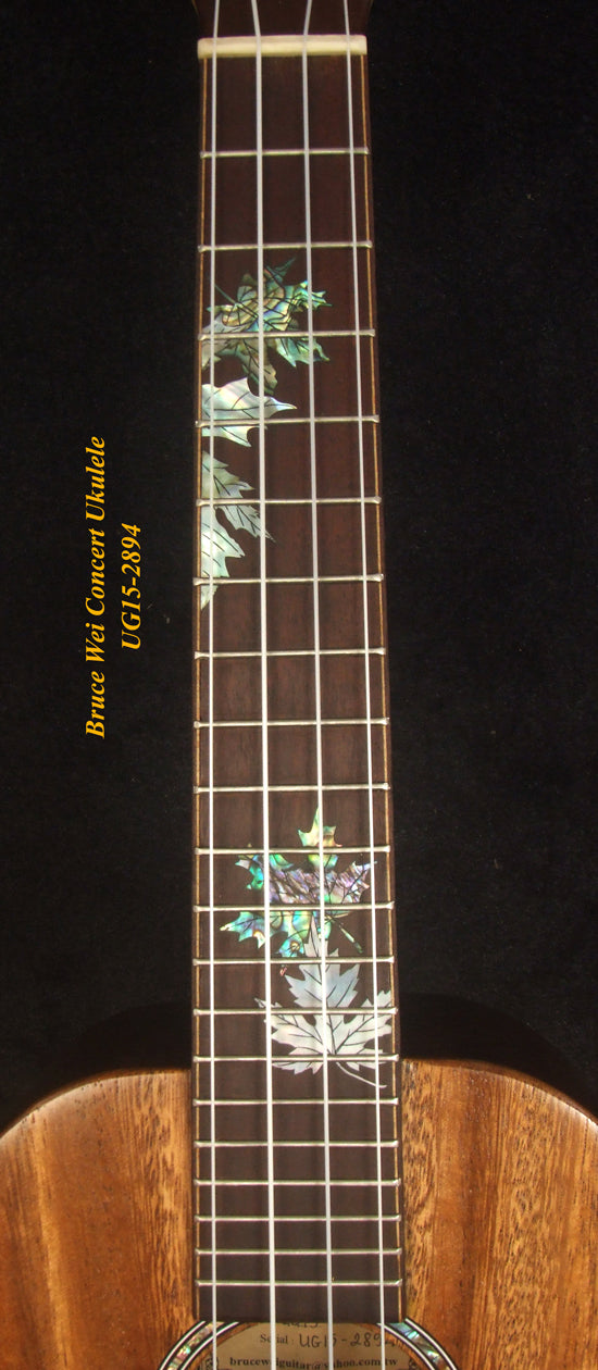 Handmade Concert Ukulele, Solid Ziricote & Spruce, Carved backboard, Soft-bag, Bruce Wei UG15-2894